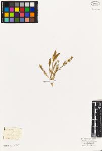 SW_BNB_s3010-09246_IMG-0000000001