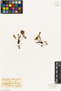 SW_BNB_s3010-09247_IMG-0000000001