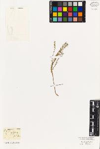 SW_BNB_s3010-09248_IMG-0000000001