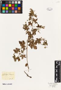 SW_BNB_s3010-09249_IMG-0000000001