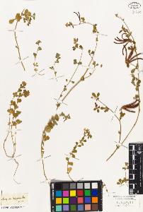 SW_BNB_s3010-09250_IMG-0000000001