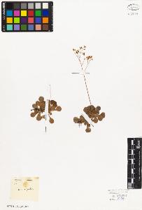 SW_BNB_s3010-09252_IMG-0000000001