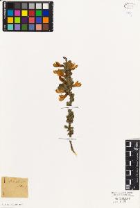 SW_BNB_s3010-09253_IMG-0000000001