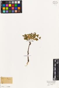 SW_BNB_s3010-09254_IMG-0000000001