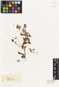 SW_BNB_s3010-09255_IMG-0000000001