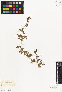 SW_BNB_s3010-09256_IMG-0000000001