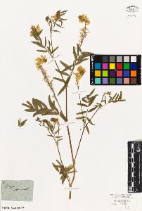 SW_BNB_s3010-09257_IMG-0000000001