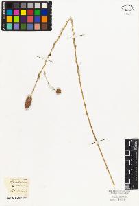 SW_BNB_s3010-09259_IMG-0000000001