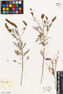 SW_BNB_s3010-09261_IMG-0000000001