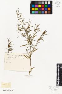 SW_BNB_s3010-09262_IMG-0000000001