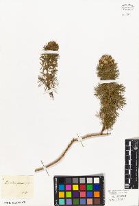 SW_BNB_s3010-09263_IMG-0000000001