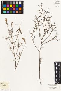 SW_BNB_s3010-09264_IMG-0000000001