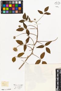 SW_BNB_s3010-09265_IMG-0000000001