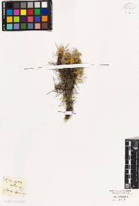 SW_BNB_s3010-09266_IMG-0000000001