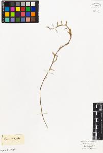 SW_BNB_s3010-09267_IMG-0000000001