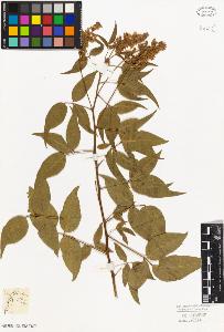 SW_BNB_s3010-09268_IMG-0000000001