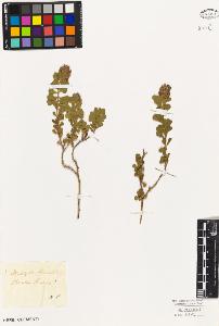 SW_BNB_s3010-09269_IMG-0000000001