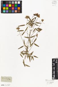 SW_BNB_s3010-09270_IMG-0000000001