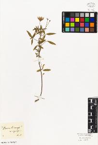 SW_BNB_s3010-09271_IMG-0000000001