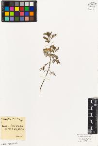 SW_BNB_s3010-09273_IMG-0000000001