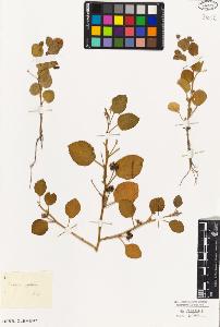 SW_BNB_s3010-09274_IMG-0000000001