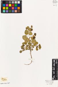 SW_BNB_s3010-09275_IMG-0000000001