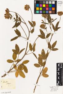 SW_BNB_s3010-09277_IMG-0000000001