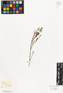 SW_BNB_s3010-09279_IMG-0000000001