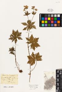 SW_BNB_s3010-09280_IMG-0000000001