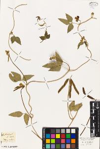 SW_BNB_s3010-09282_IMG-0000000001