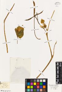 SW_BNB_s3010-09283_IMG-0000000001