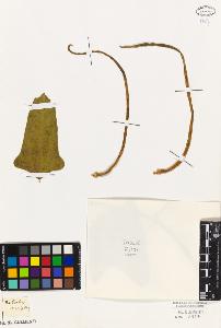 SW_BNB_s3010-09284_IMG-0000000001