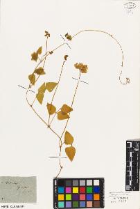 SW_BNB_s3010-09286_IMG-0000000001