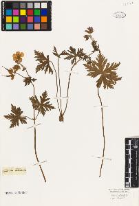 SW_BNB_s3010-09287_IMG-0000000001