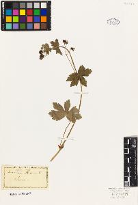 SW_BNB_s3010-09290_IMG-0000000001