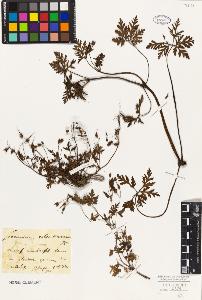 SW_BNB_s3010-09291_IMG-0000000001