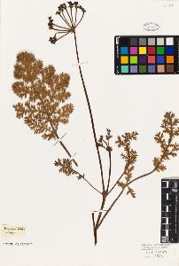 SW_BNB_s3010-09292_IMG-0000000001