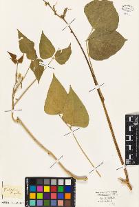 SW_BNB_s3010-09293_IMG-0000000001