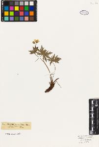 SW_BNB_s3010-09294_IMG-0000000001