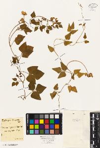 SW_BNB_s3010-09295_IMG-0000000001