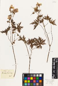 SW_BNB_s3010-09296_IMG-0000000001