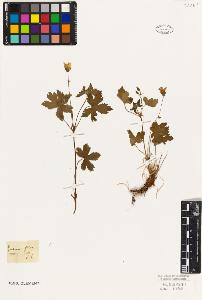 SW_BNB_s3010-09297_IMG-0000000001