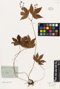 SW_BNB_s3010-09298_IMG-0000000001