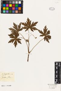 SW_BNB_s3010-09299_IMG-0000000001