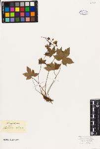 SW_BNB_s3010-09300_IMG-0000000001