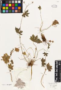 SW_BNB_s3010-09301_IMG-0000000001