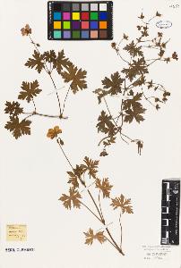 SW_BNB_s3010-09304_IMG-0000000001