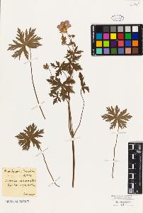 SW_BNB_s3010-09305_IMG-0000000001