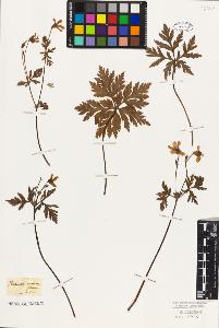 SW_BNB_s3010-09306_IMG-0000000001