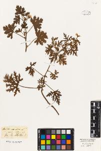 SW_BNB_s3010-09308_IMG-0000000001